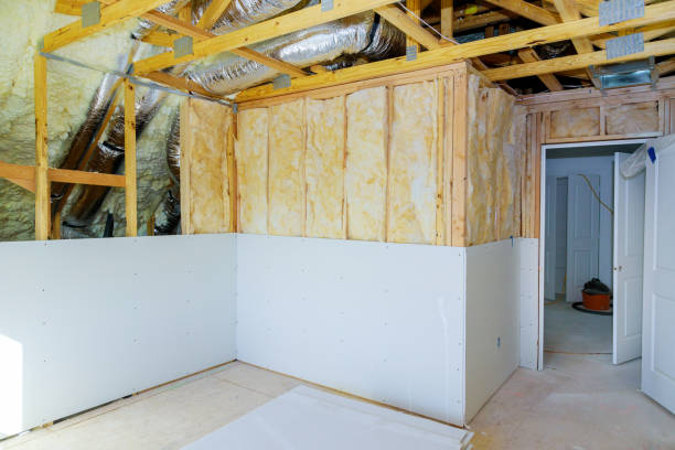 Best Insulation for New Construction  in Durand, MI