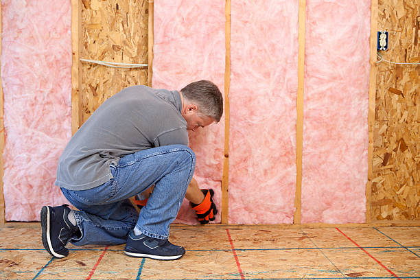 Best Blown-In Insulation  in Durand, MI