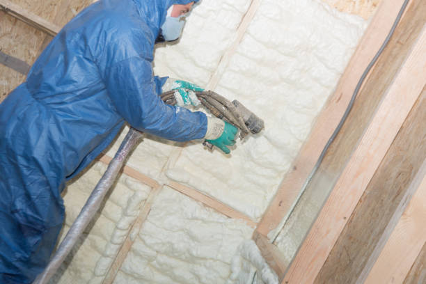 Best Garage Insulation  in Durand, MI